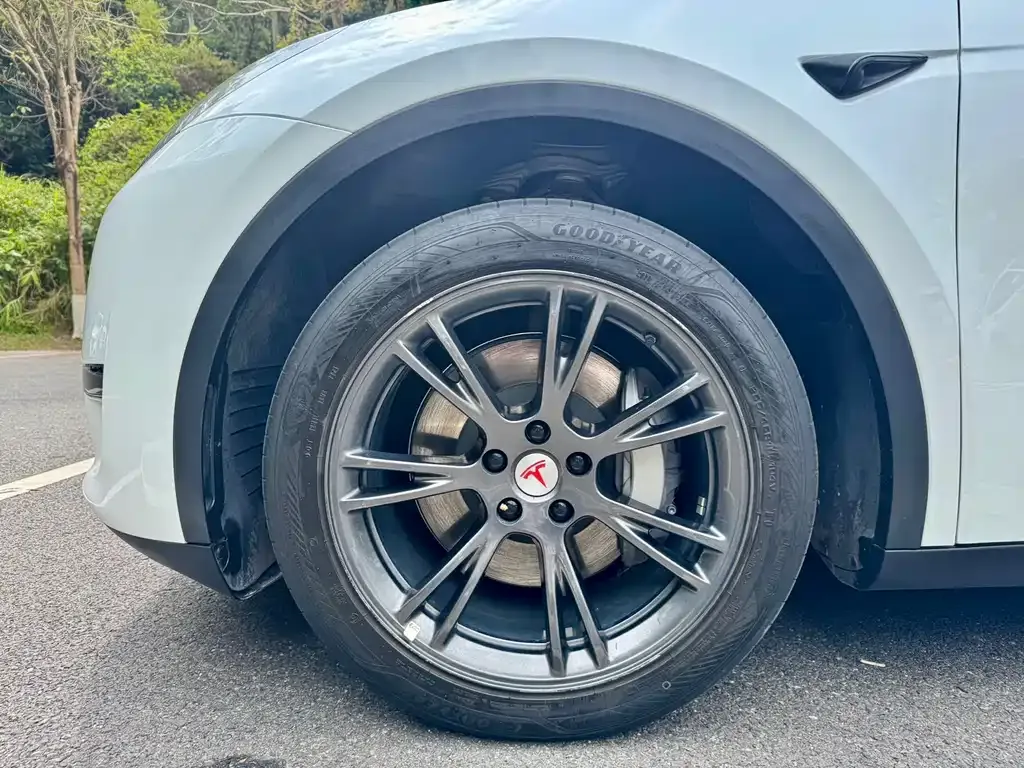 Tesla Model Y — фото 5
