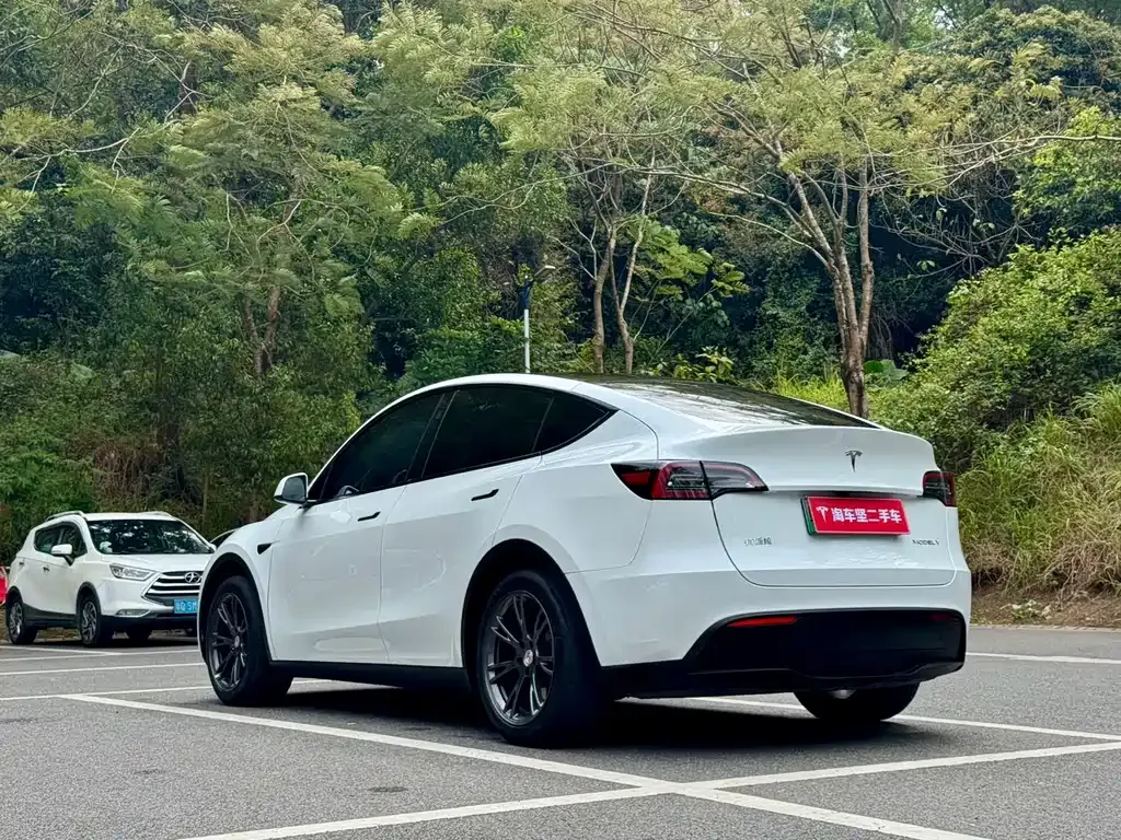 Tesla Model Y — фото 8