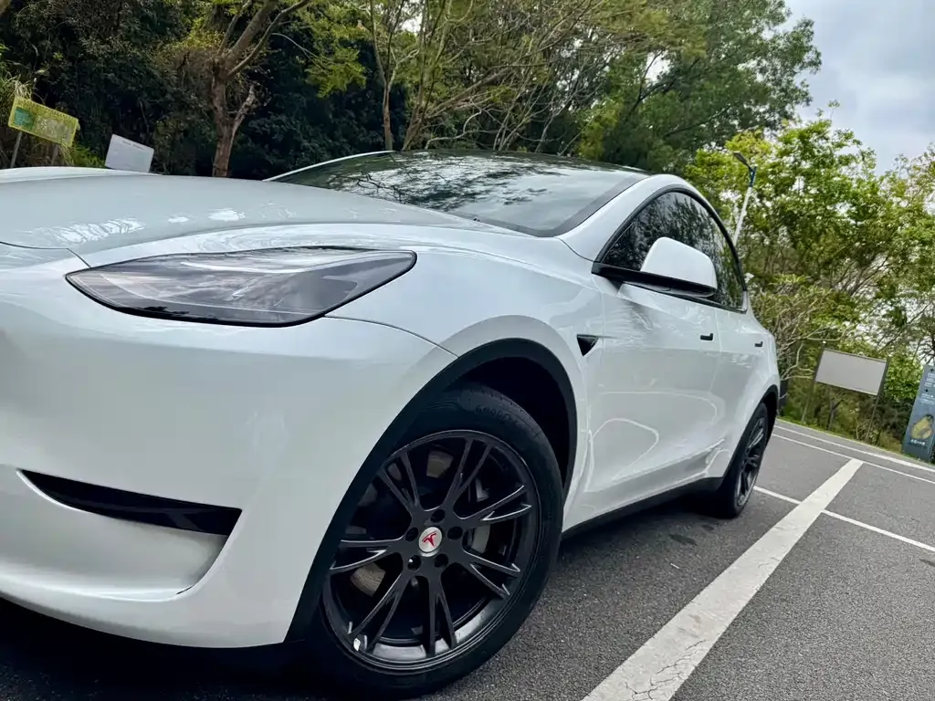 Tesla Model Y — фото 4