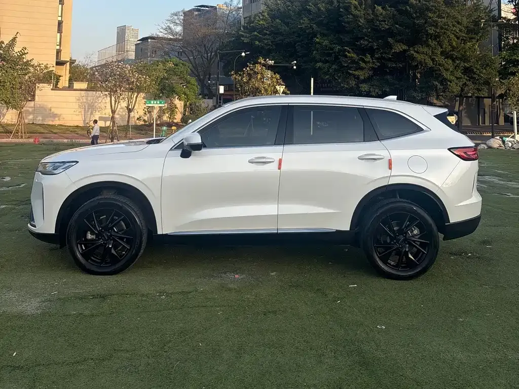 Haval H6 2022 из CN, фото 4