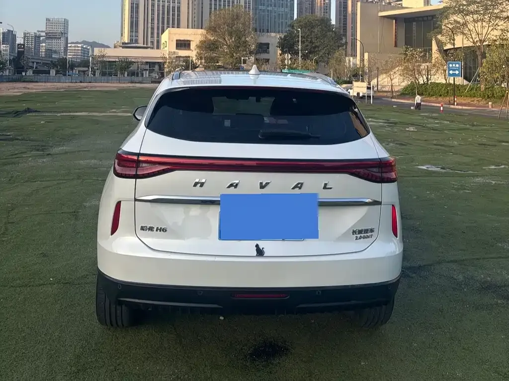 Haval H6 2022 из CN, фото 6