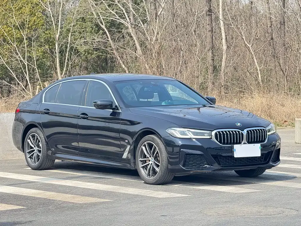 BMW 5 Series — фото 4