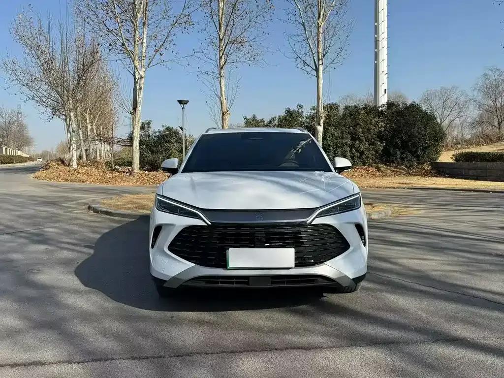 BYD L DM-i 2024 из CN, фото 8