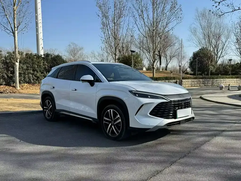 BYD L DM-i 2024 из CN, фото 6