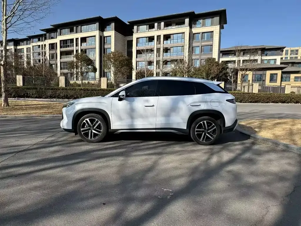 BYD L DM-i 2024 из CN, фото 9