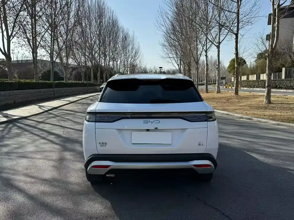 BYD L DM-i 2024 из CN, фото 7