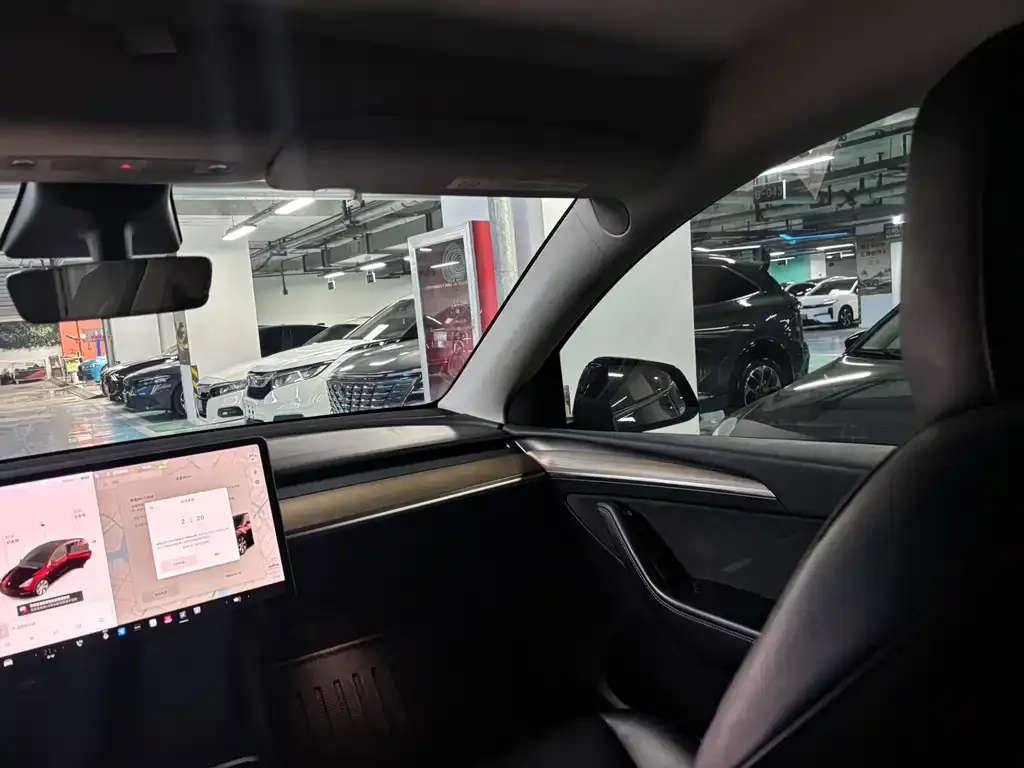Tesla Model Y — фото 8