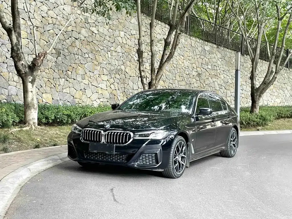 BMW 5 Series — фото 1