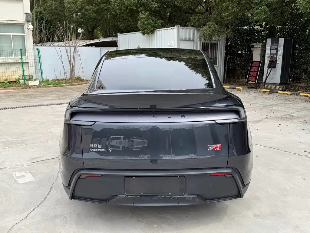 Tesla Model Y — фото 9