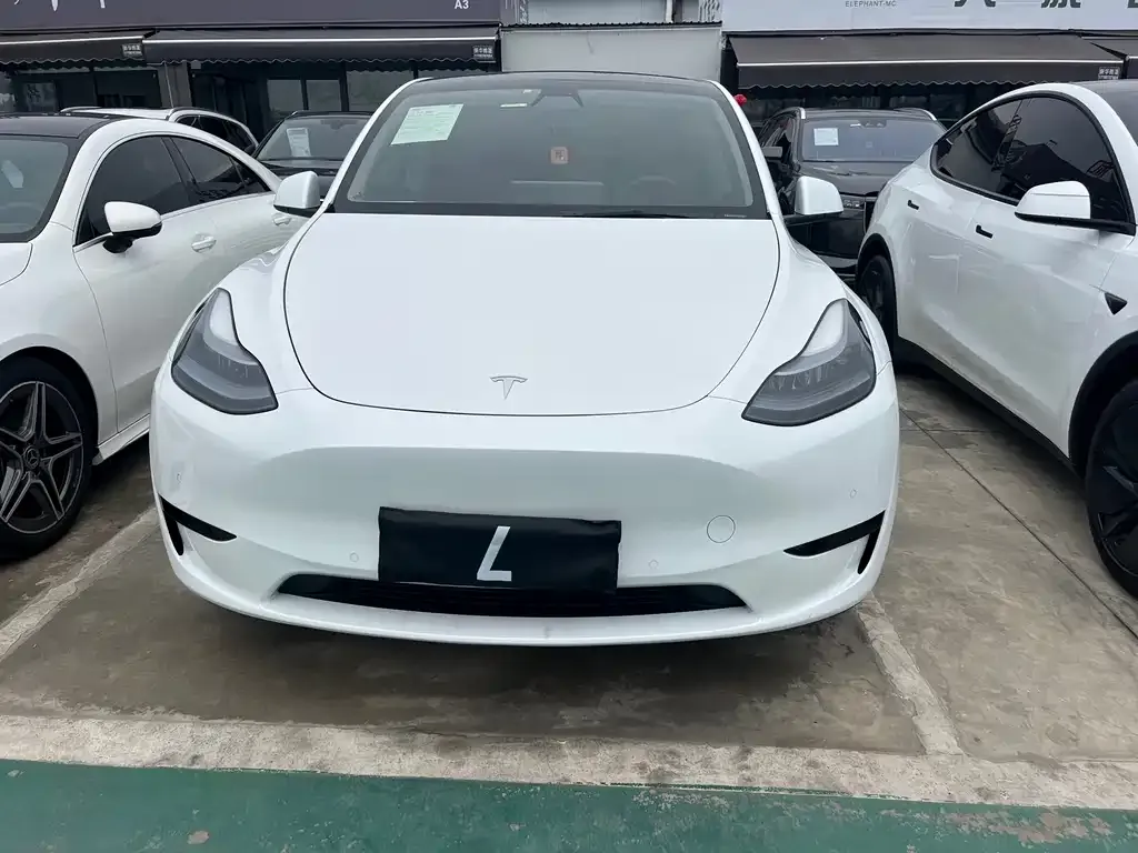 Tesla Model Y — фото 1