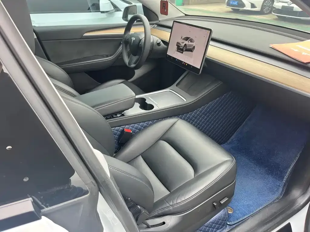 Tesla Model Y — фото 10
