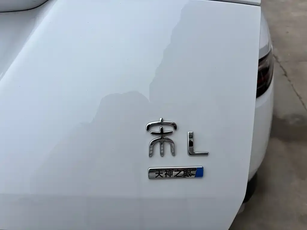 BYD L DM-i — фото 2
