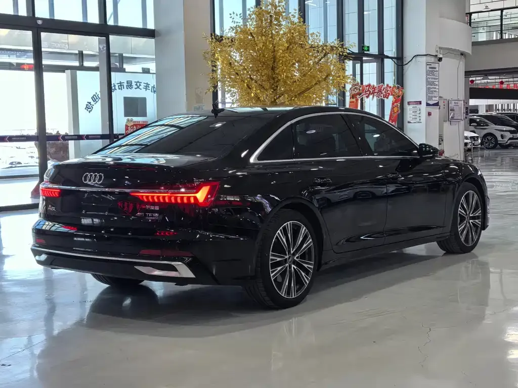Audi A6L 2023 из CN, фото 6