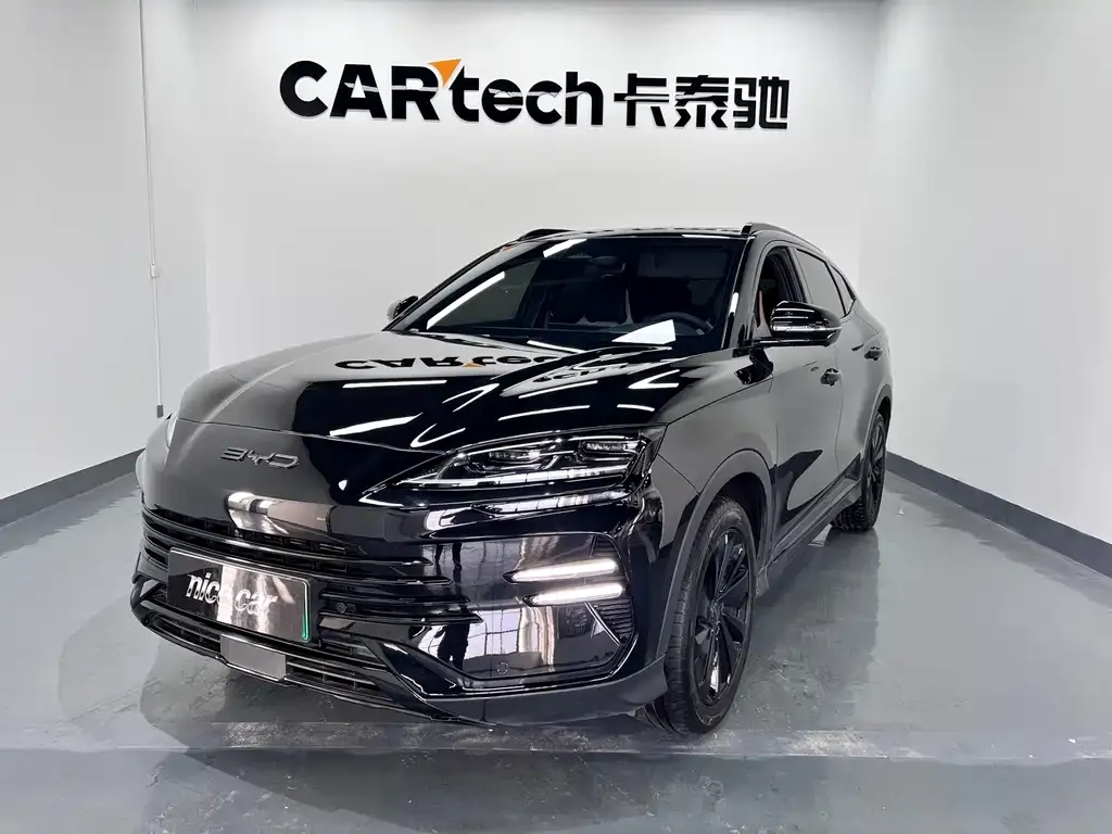 BYD PLUS New Energy — фото 1