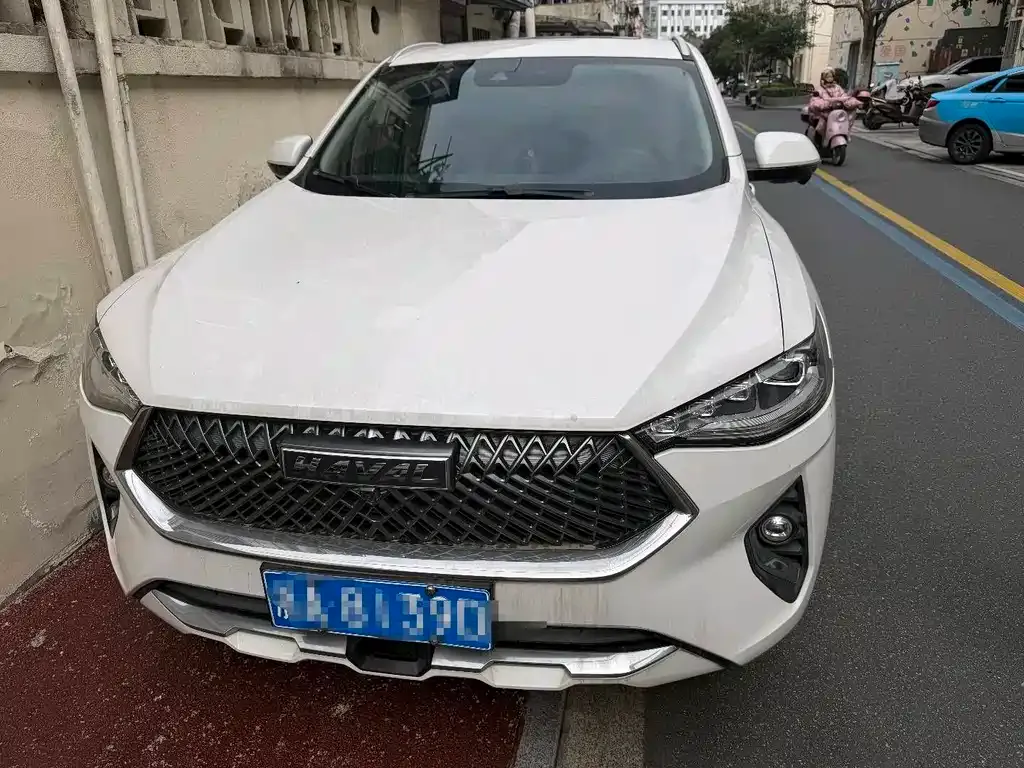 Haval F7x 2021 из CN, фото 5