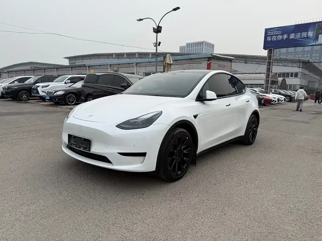 Tesla Model Y — фото 1