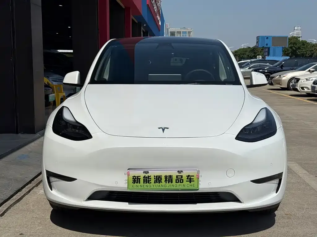Tesla Model Y 2023 из CN, фото 3
