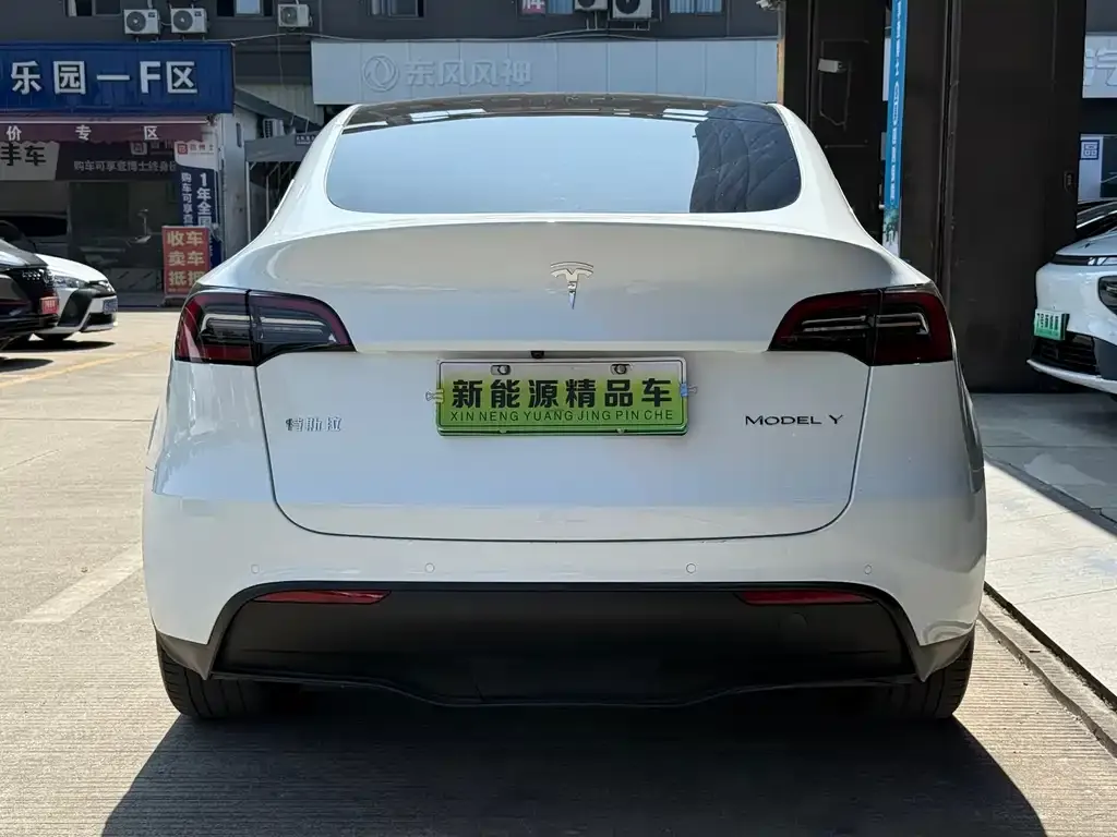 Tesla Model Y 2023 из CN, фото 5