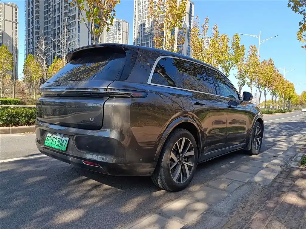Li Auto L8 2023 из CN, фото 8