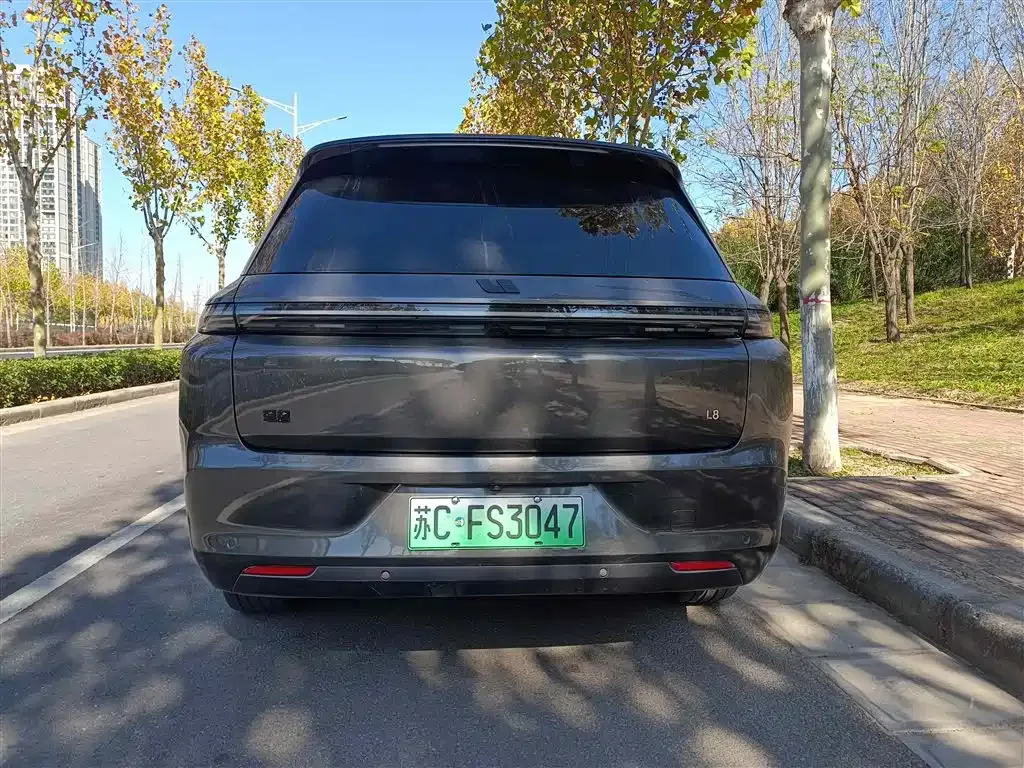 Li Auto L8 2023 из CN, фото 7