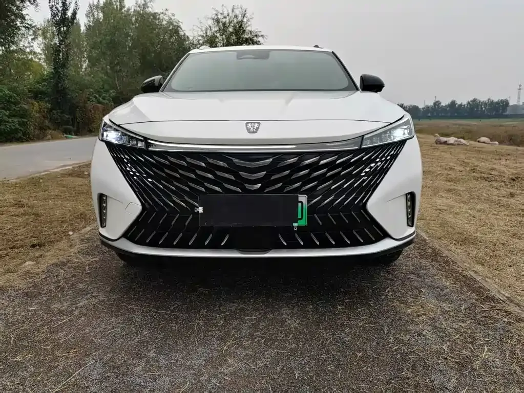 Roewe RX5 New Energy 2023 из CN, фото 10