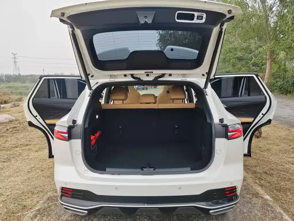 Roewe RX5 New Energy 2023 из CN, фото 7