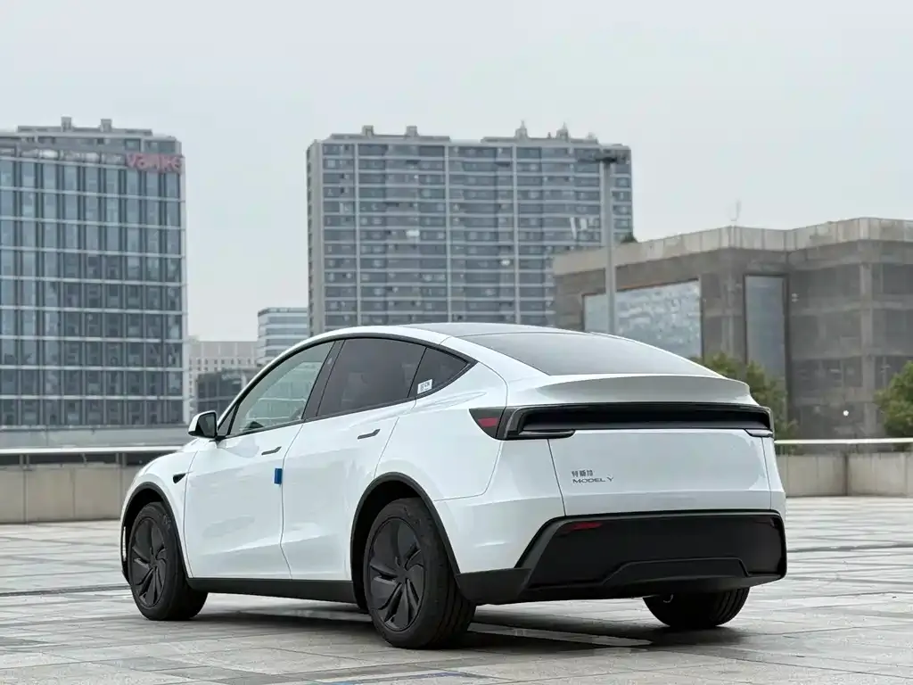 Tesla Model Y — фото 6