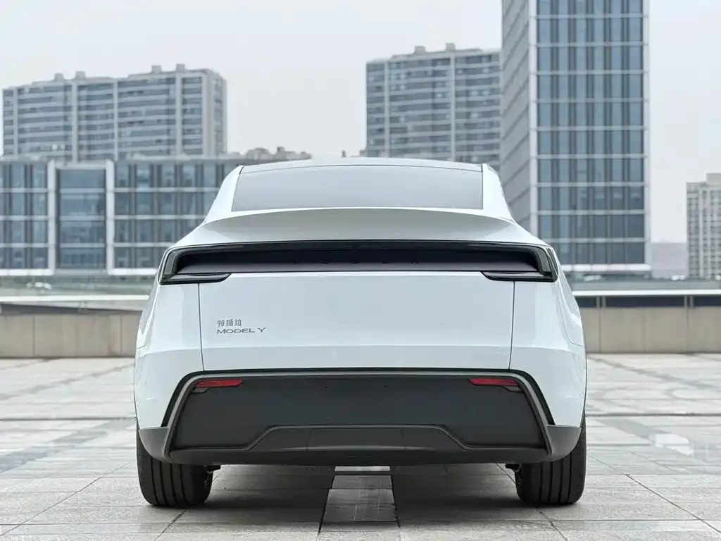 Tesla Model Y — фото 2
