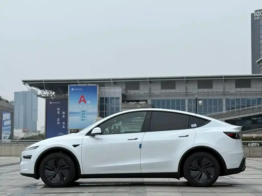 Tesla Model Y — фото 10