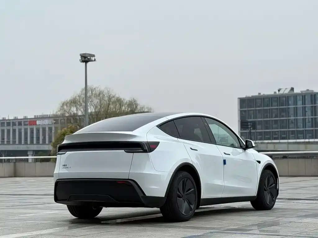 Tesla Model Y — фото 8