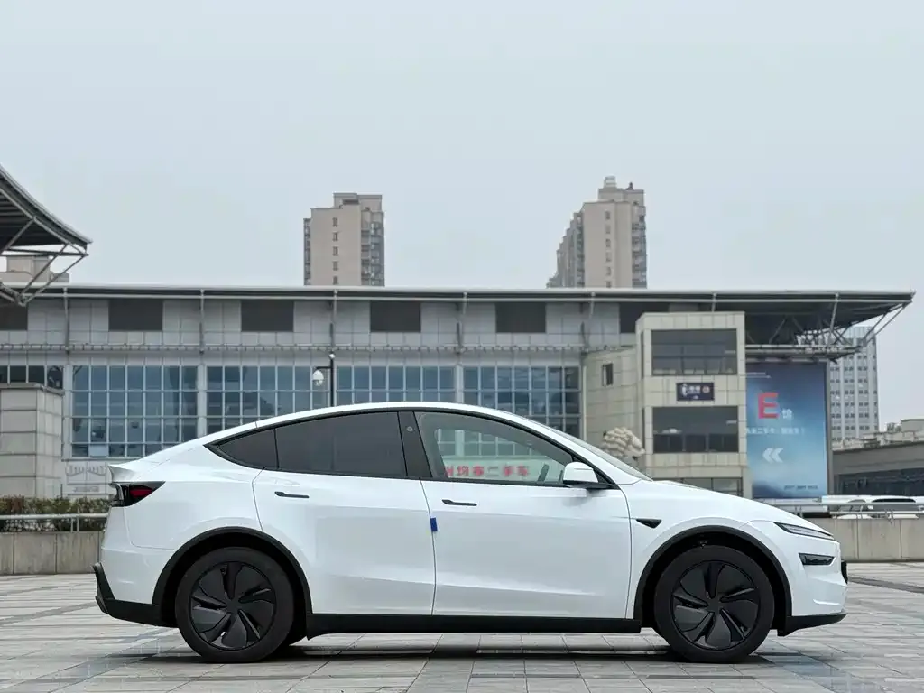 Tesla Model Y — фото 5