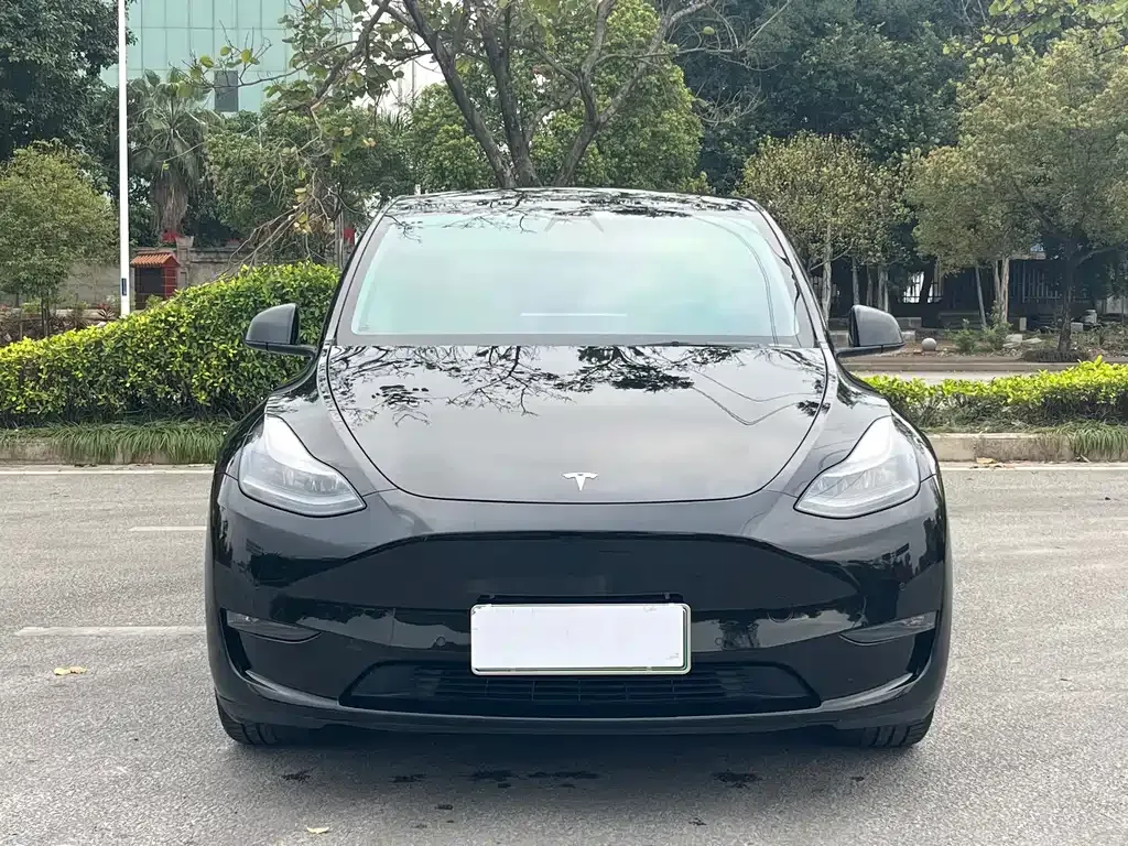 Tesla Model Y — фото 8