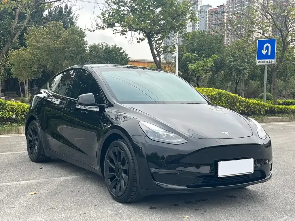 Tesla Model Y — фото 7