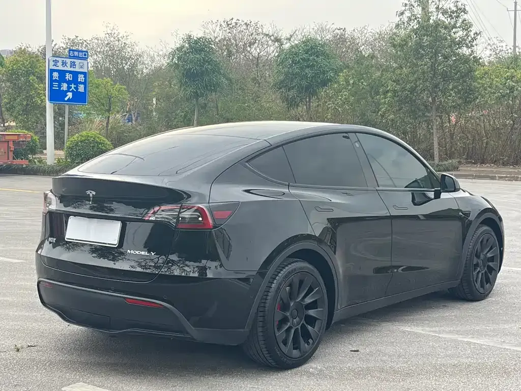 Tesla Model Y — фото 10