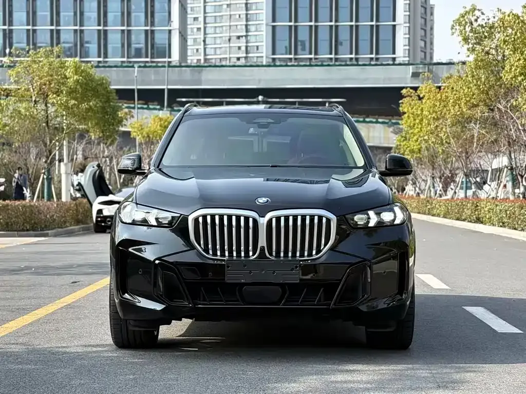 BMW X5 — фото 3