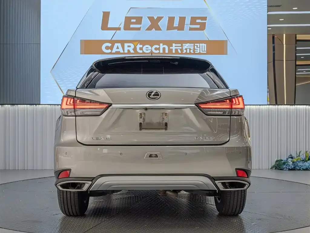 Lexus RX — фото 10