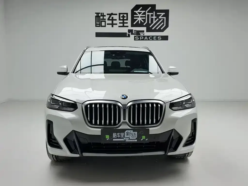 BMW X3 2023 из CN, фото 4