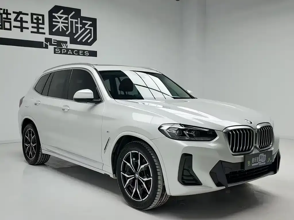 BMW X3 2023 из CN, фото 6