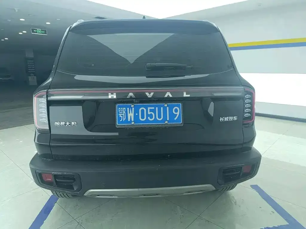 Haval Big Dog 2023 из CN, фото 3
