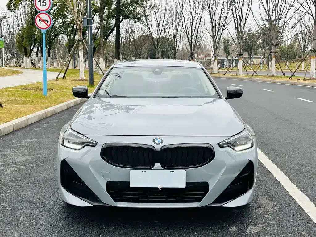 BMW 2 Series (Import) 2025 из CN, фото 9
