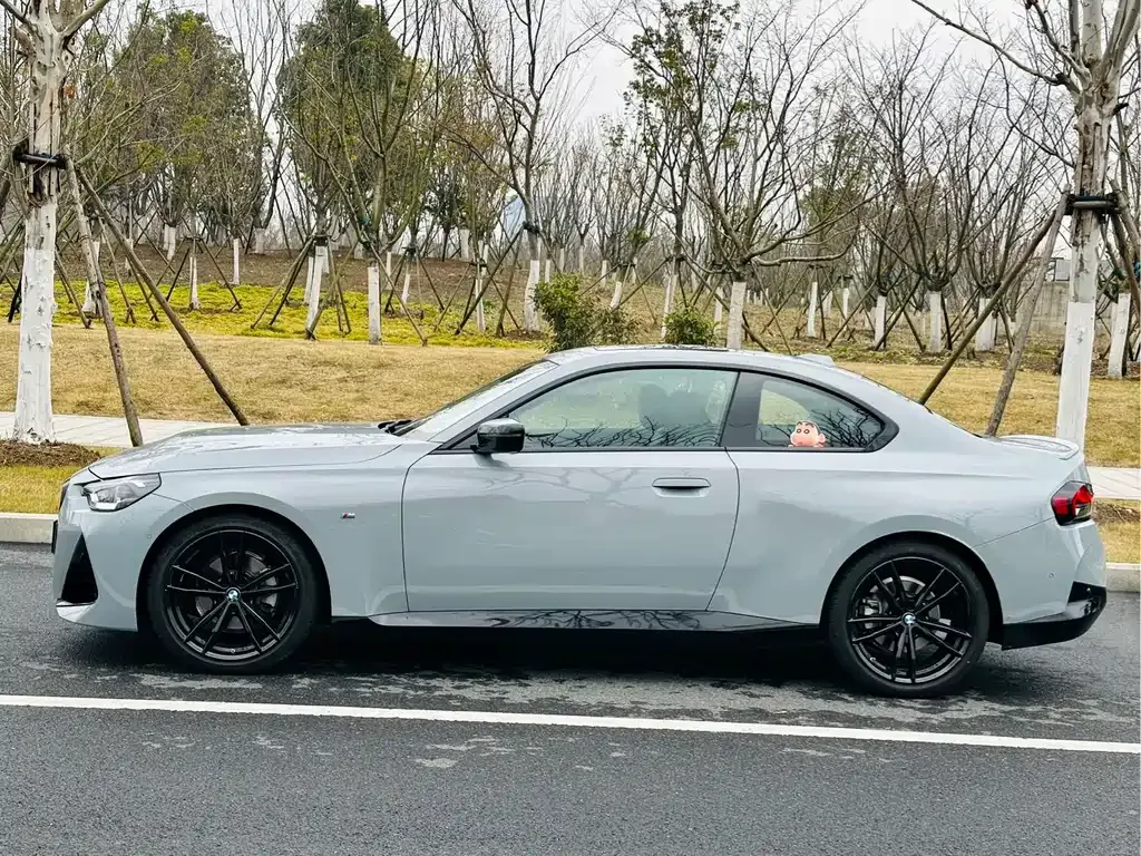 BMW 2 Series (Import) 2025 из CN, фото 10