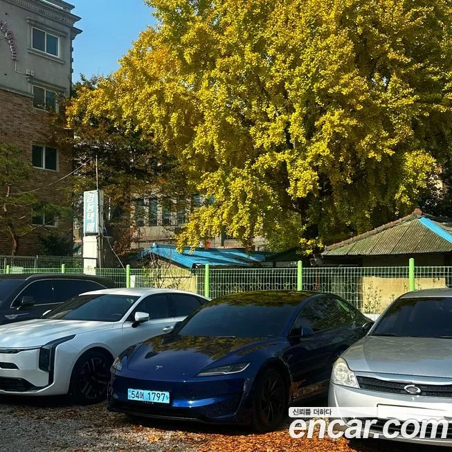 Tesla Model 3 Performance