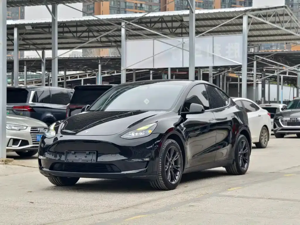 Tesla Model Y — фото 1