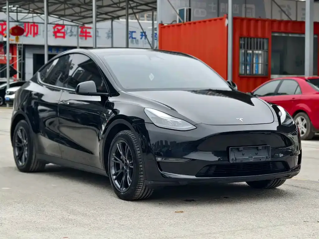 Tesla Model Y — фото 8