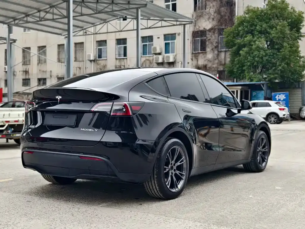 Tesla Model Y — фото 3