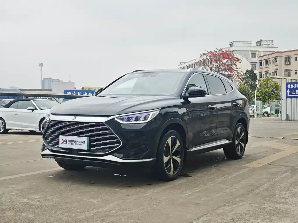 BYD PLUS New Energy 2023 из CN, фото 1