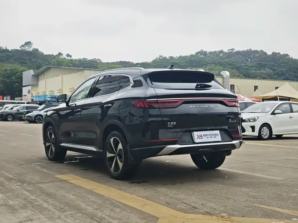 BYD PLUS New Energy 2023 из CN, фото 6