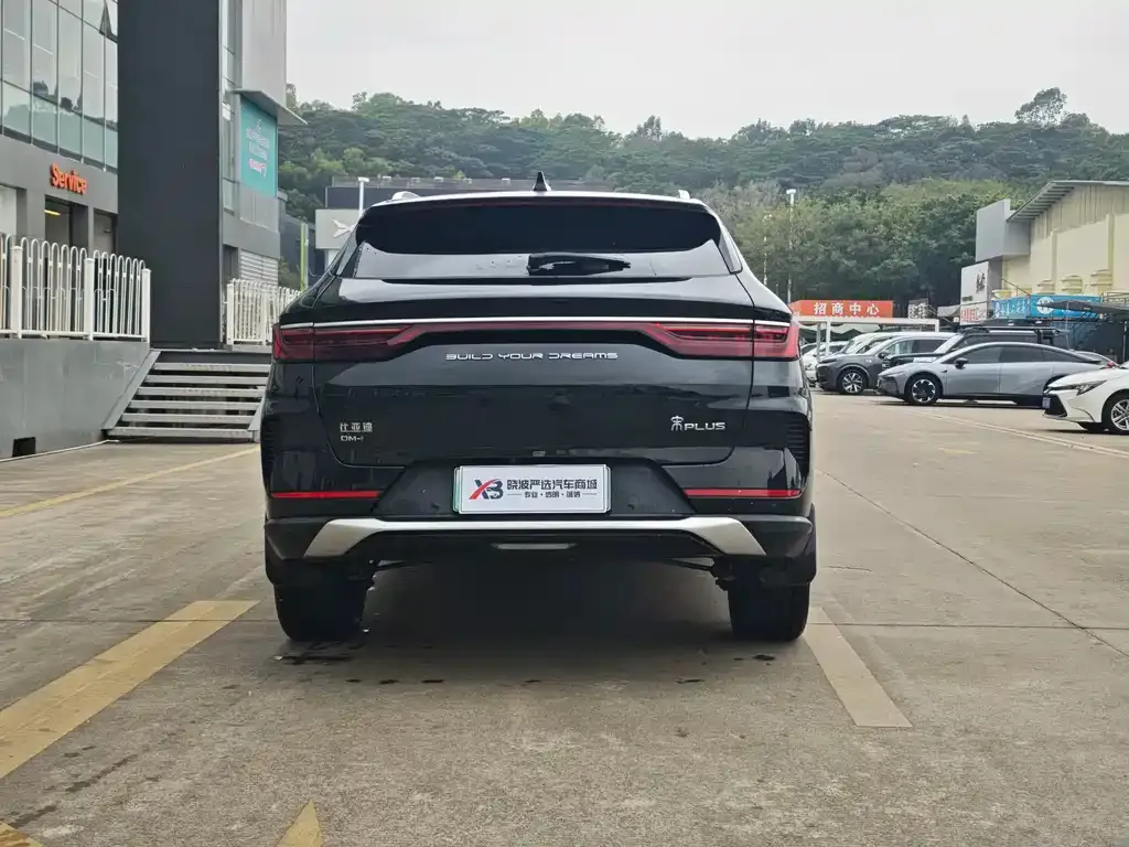 BYD PLUS New Energy 2023 из CN, фото 4