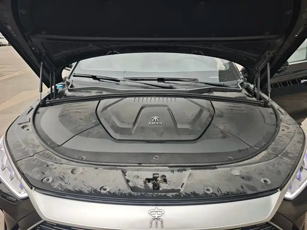 BYD PLUS New Energy 2023 из CN, фото 9