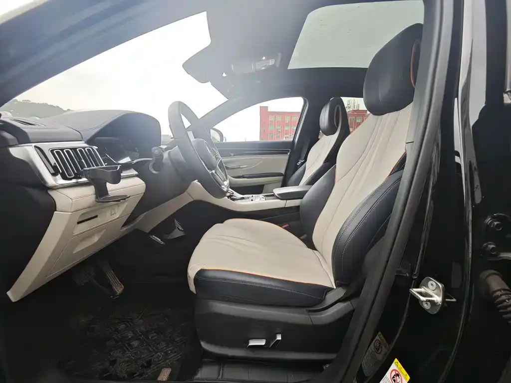 BYD PLUS New Energy 2023 из CN, фото 2
